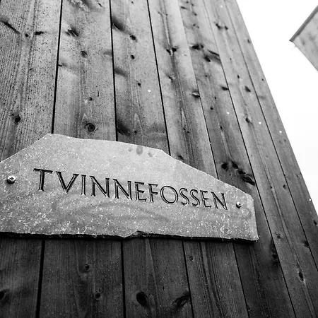 Elva * Skulestadmo